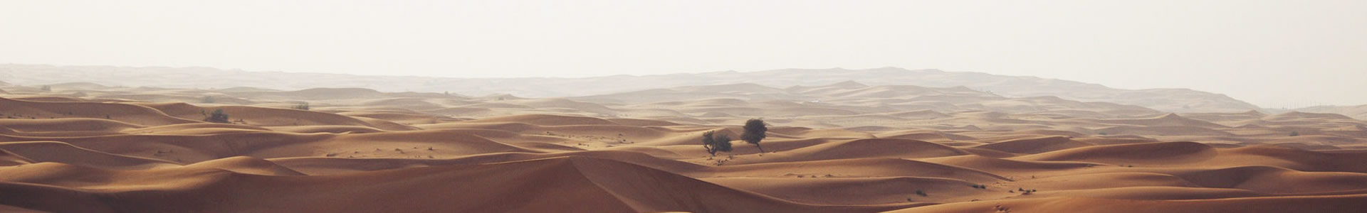 նƼ޹˾